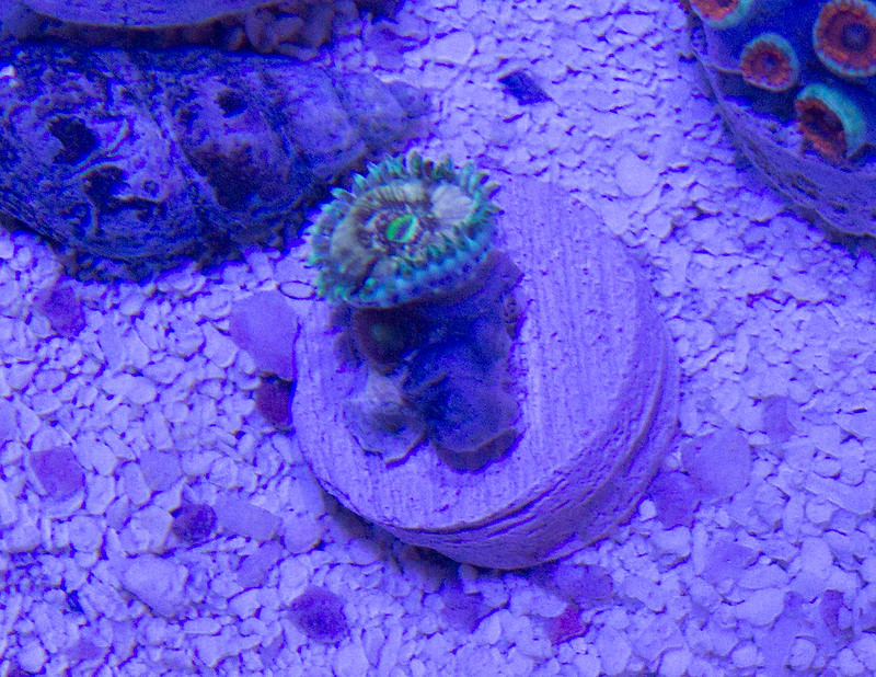 15271045471_2f25d62356_c.jpg