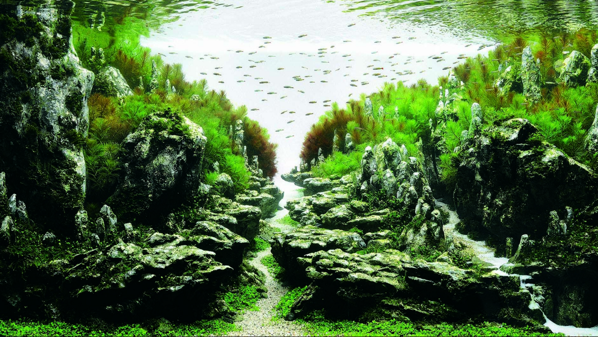 1*pjPYLGu8p2pnjiorIHsrDw.png