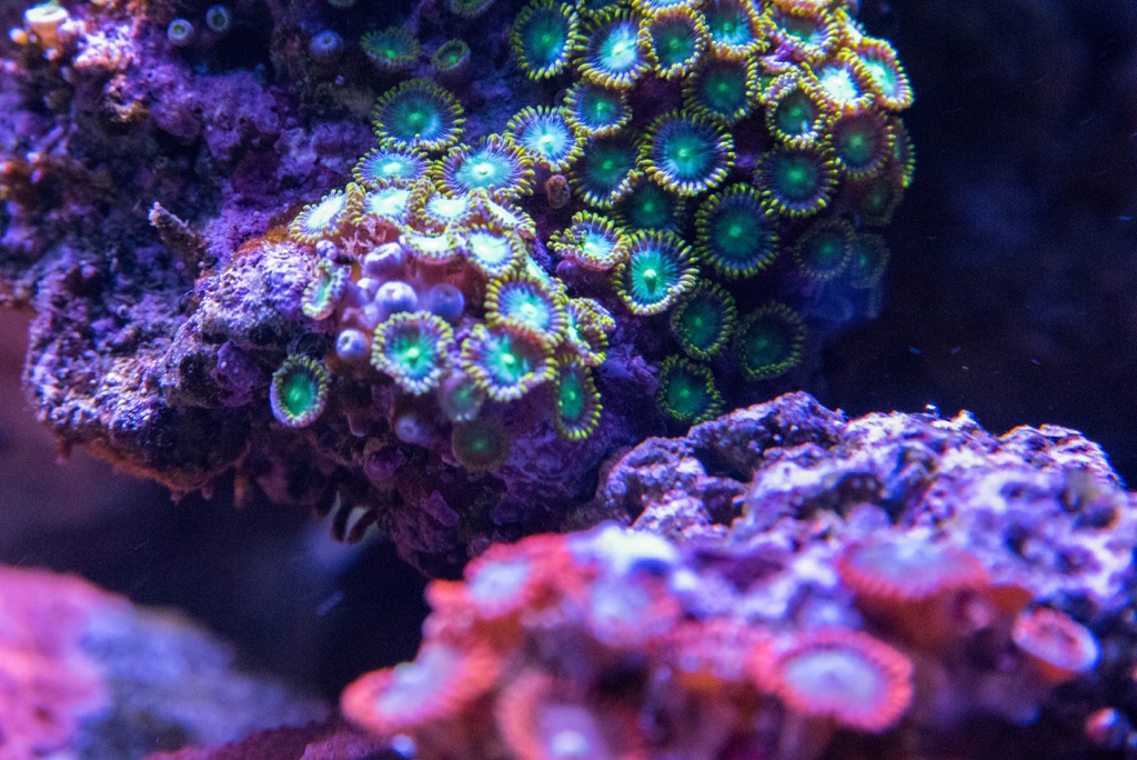 DSC_1608.jpg