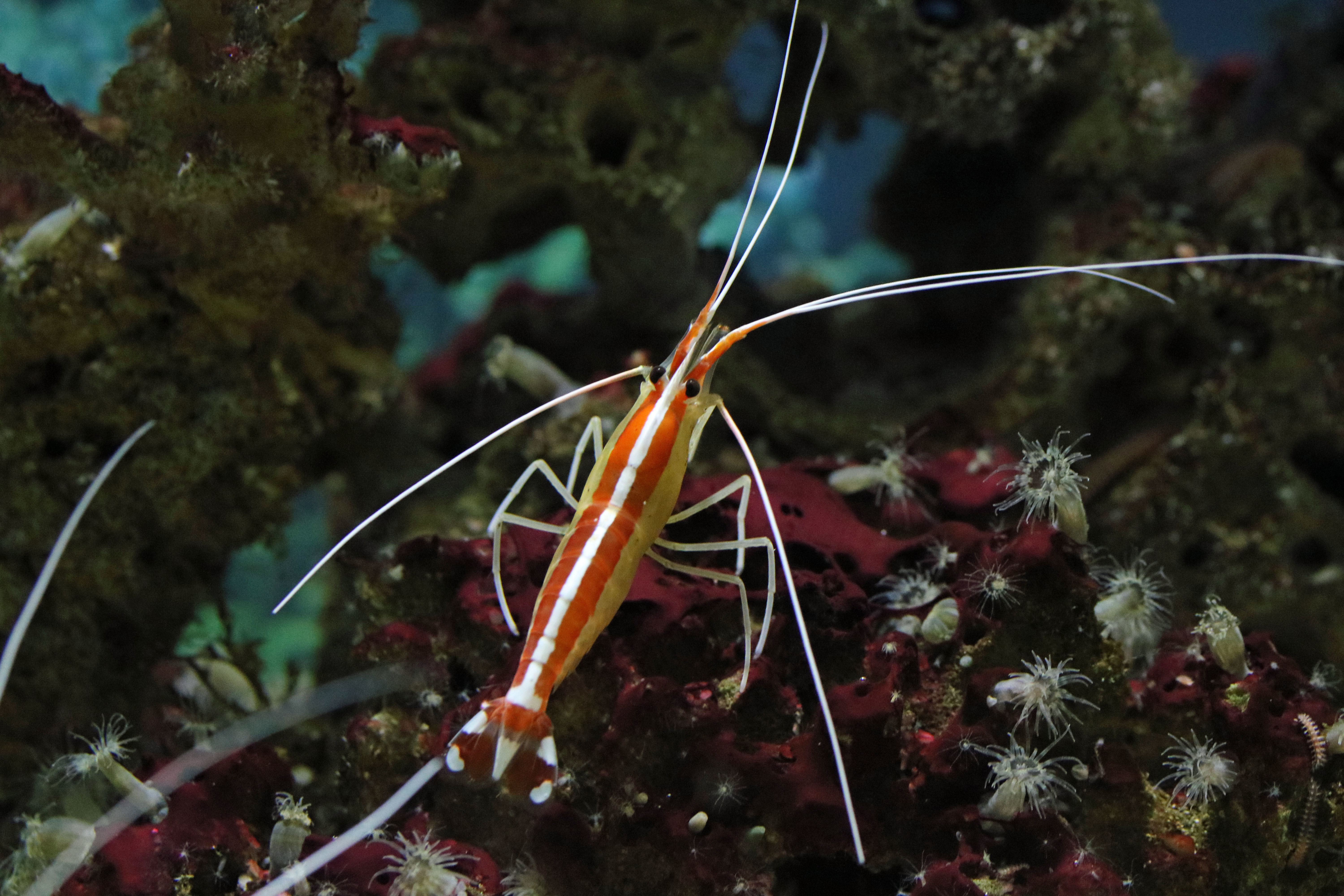 www.aquarium.co.za