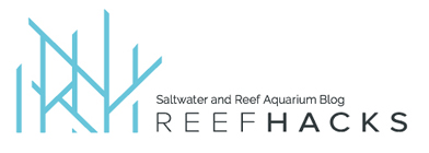 reefhacks.com