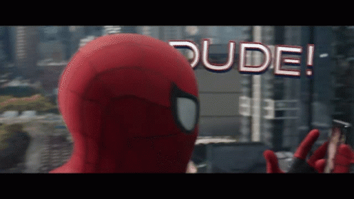 dude-spidey-dude.gif