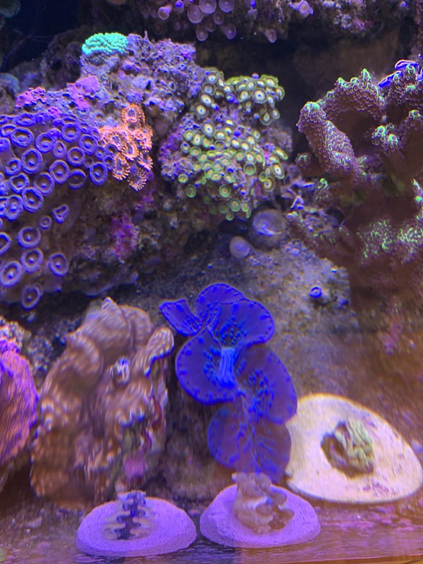48104329791_91b3181412_c.jpg