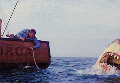 jaws-shark.gif