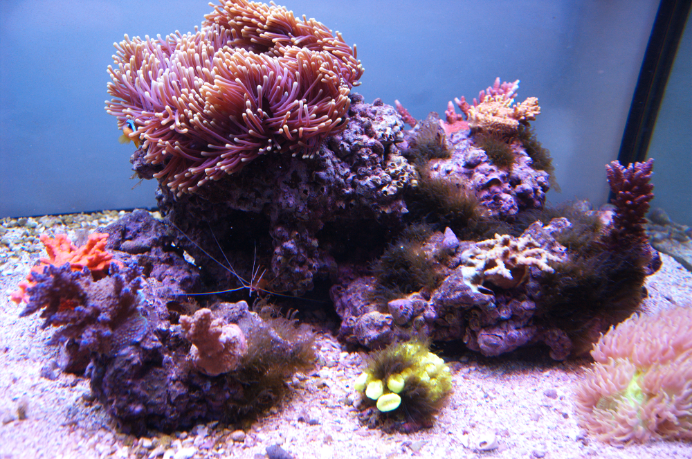 30107556204_dfc1aef95e_o.png