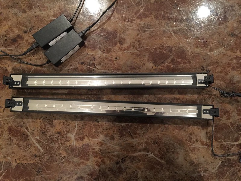 23738358664_20d2ffacfa_c.jpg