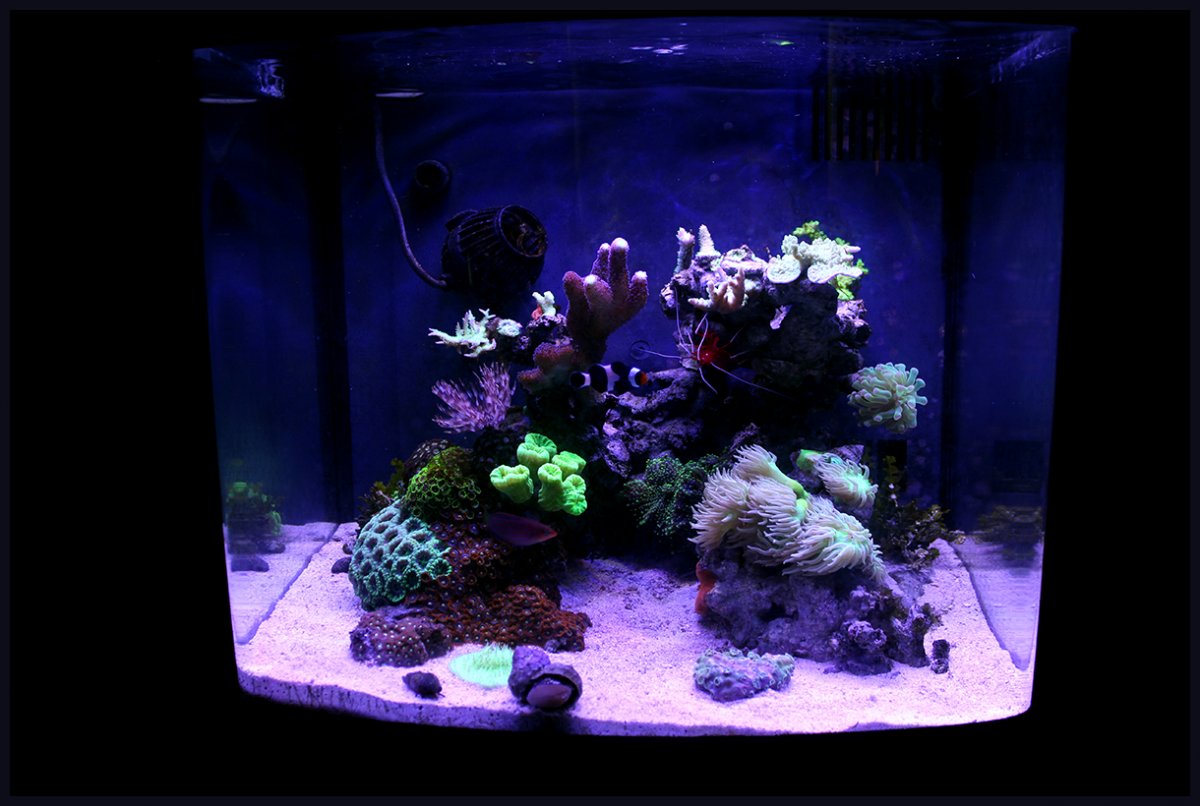 fts-jpg.413944