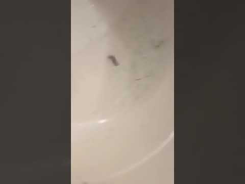 youtube.com