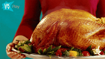 turkey GIF by UKTV Play