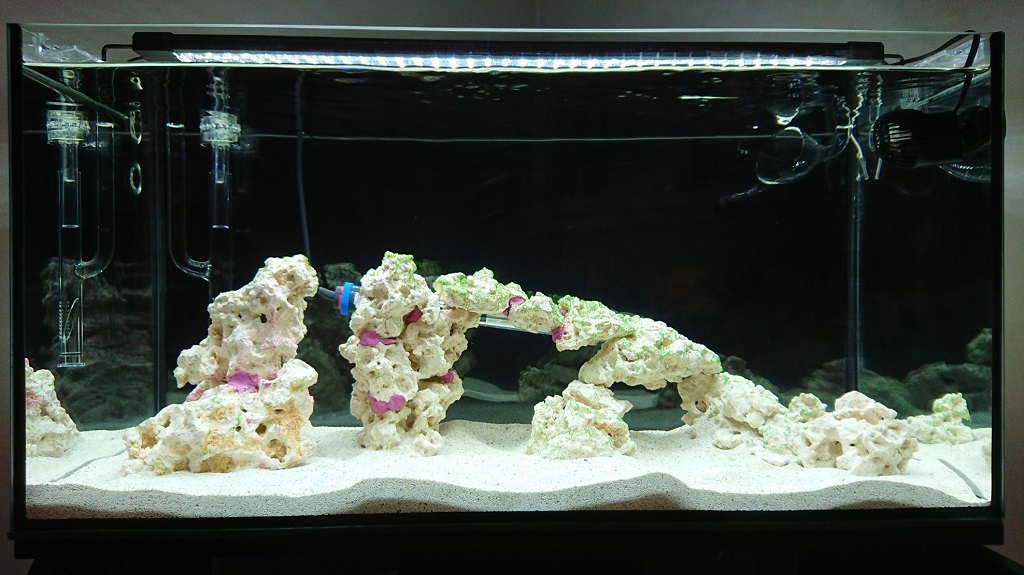 tank15.JPG