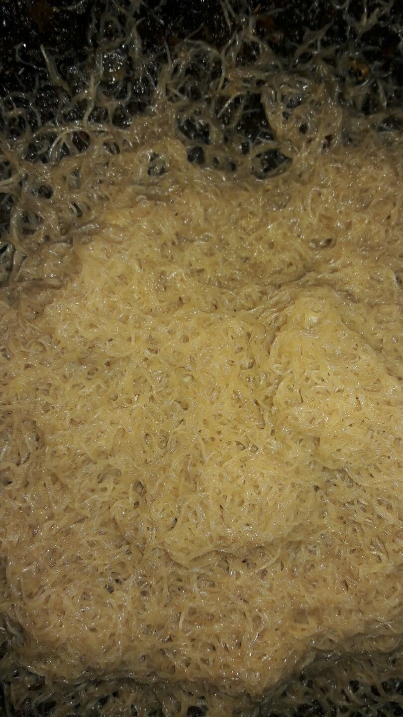 madriverseeds.ecrater.com