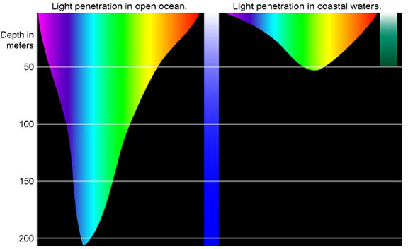 NOAA_Deep_Light_diagram3.jpg