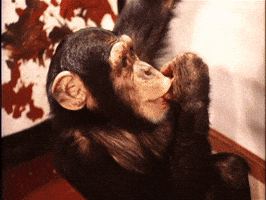 Art Monkey GIF by Beeld en Geluid Labs