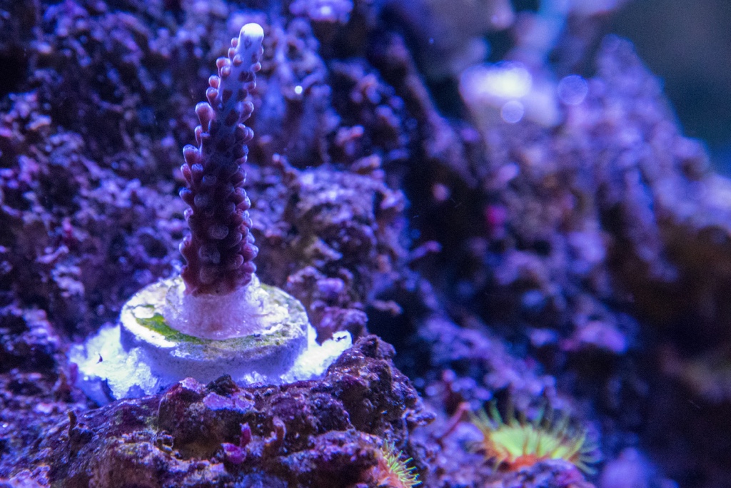 DSC_1622.jpg
