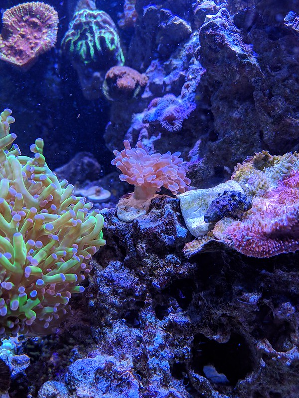 47716880571_c60c7c8175_c.jpg