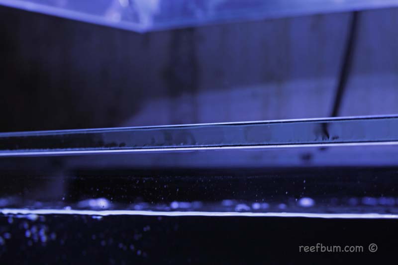 Frag-Tank-pic14.jpg