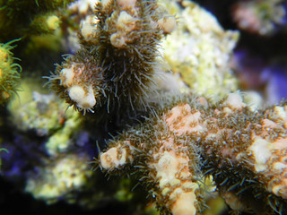 16489022453_ab8ba73948_n.jpg