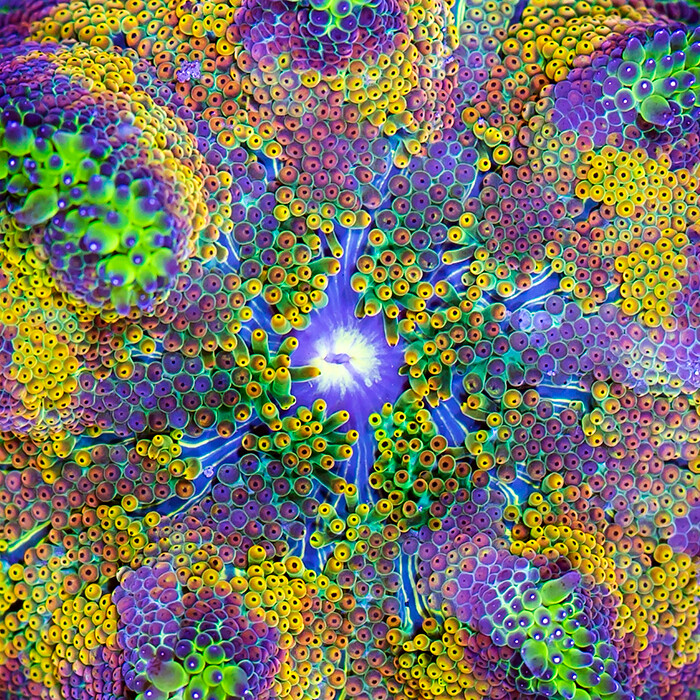43740365500_e5242878b7_b.jpg