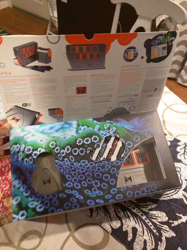 37215691685_289a34198e_c.jpg