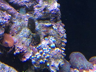 IMG_3991.JPG