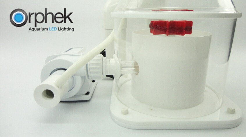 new-improved-helix-5000-protein.jpg