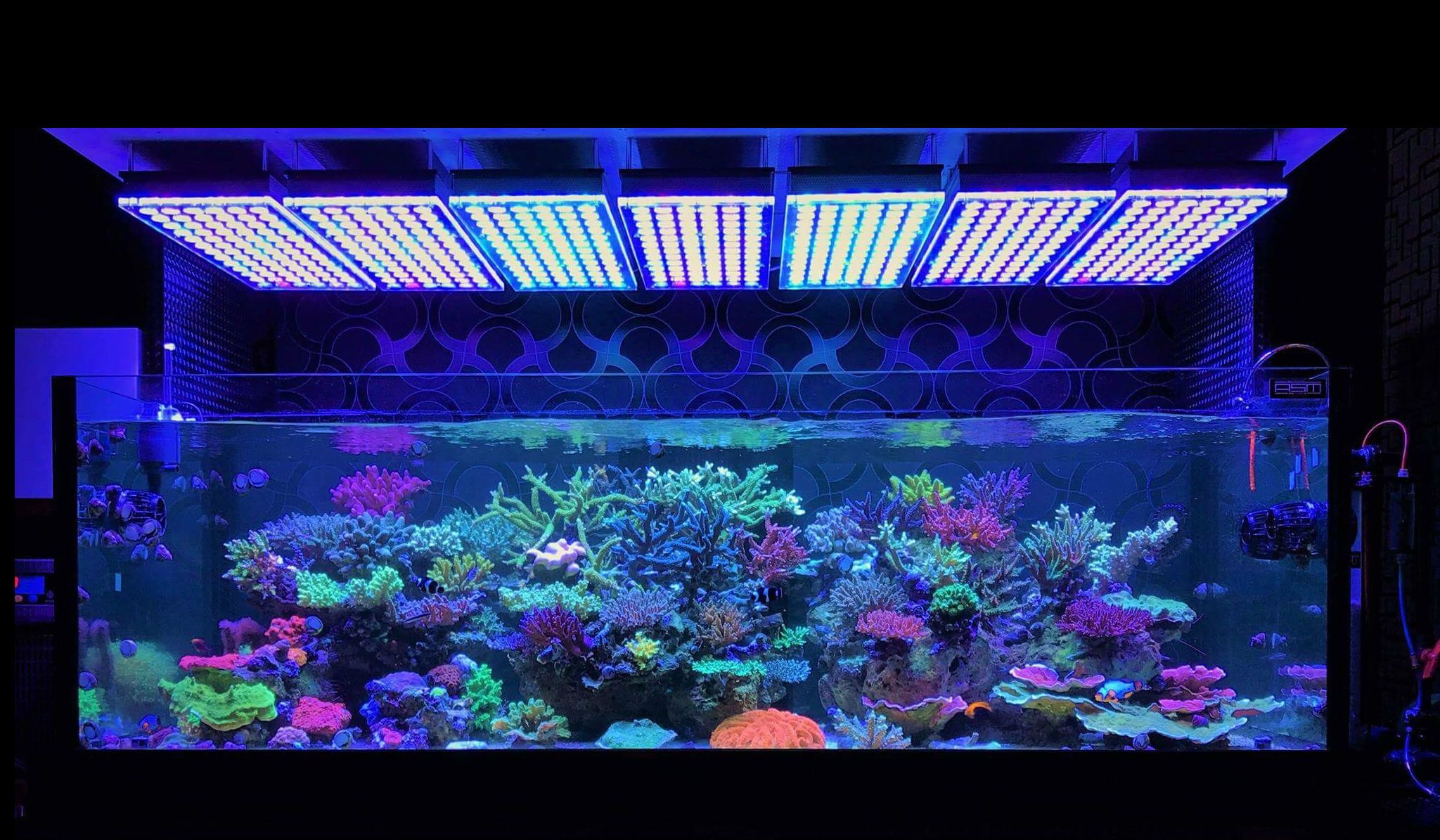 Aquarium-LED-light-Orphek-Atlantik-V4-reef.jpg