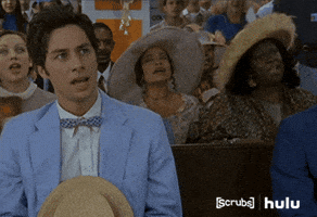 agreed zach braff GIF by HULU