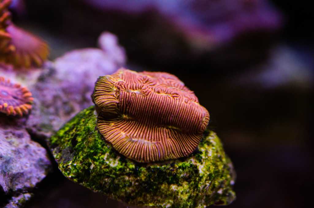 7937023526_d963ca69ec_o.jpg