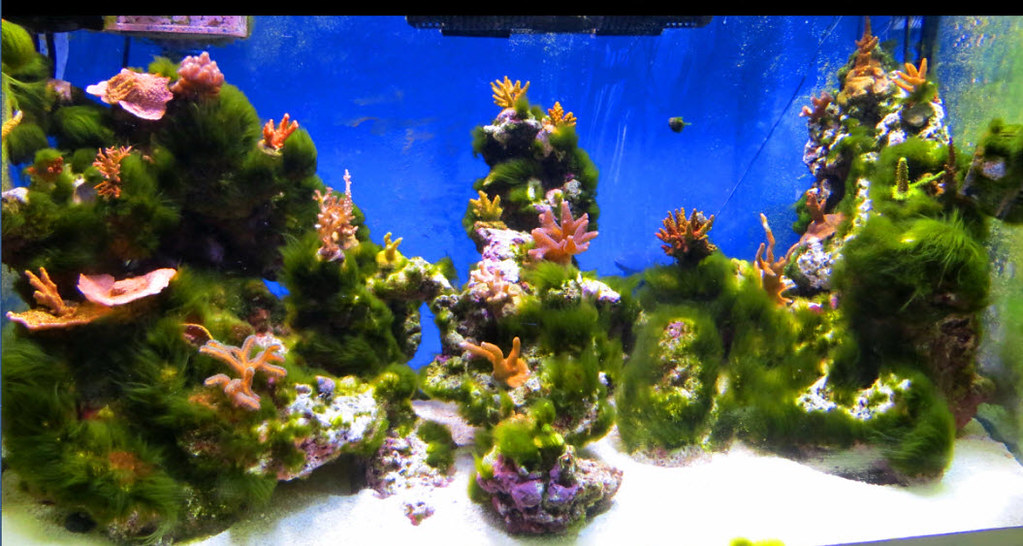 46935651641_c96bc9de8c_b.jpg