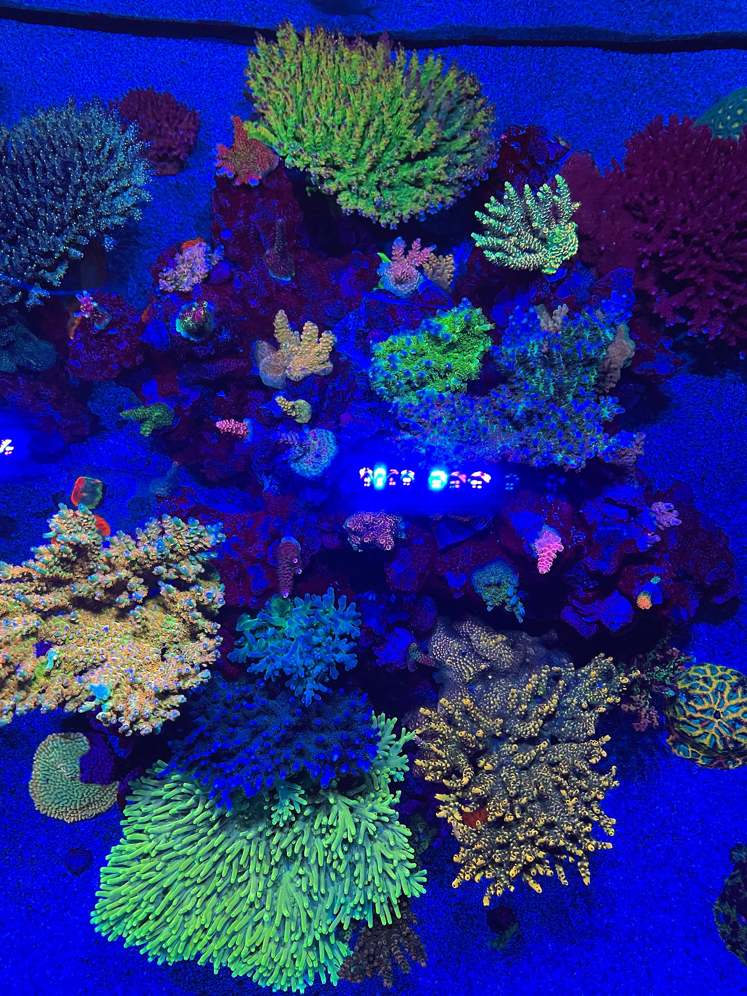 52723309446_6e962d8f8c_k.jpg