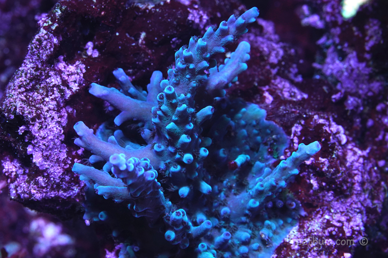 OBT-pic-2-April-18-2019.jpg