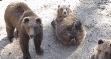 Wave Hello GIF