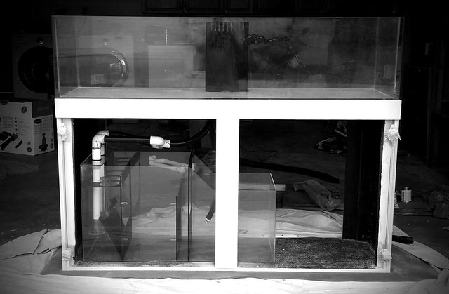 19314971249_11aabb7e54_z.jpg