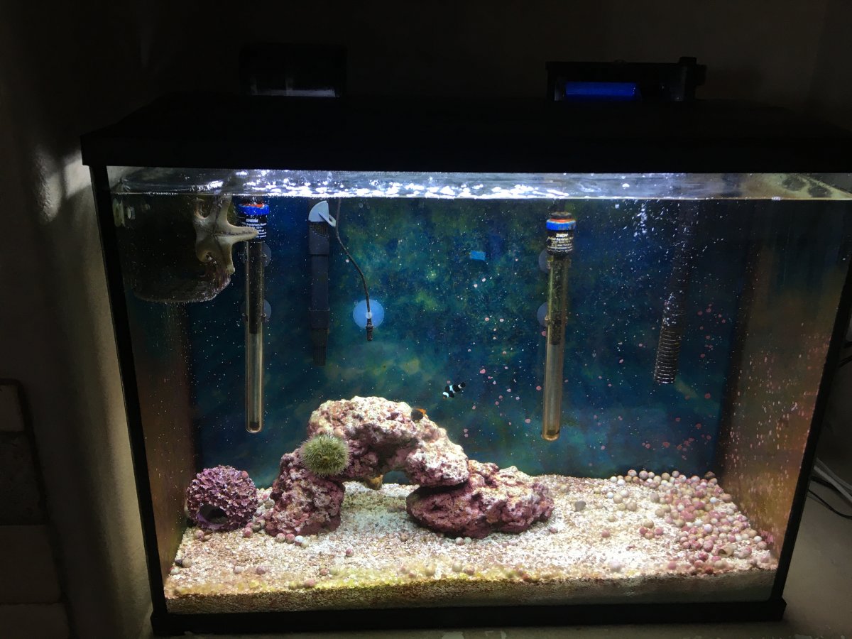 37g_last1.JPG
