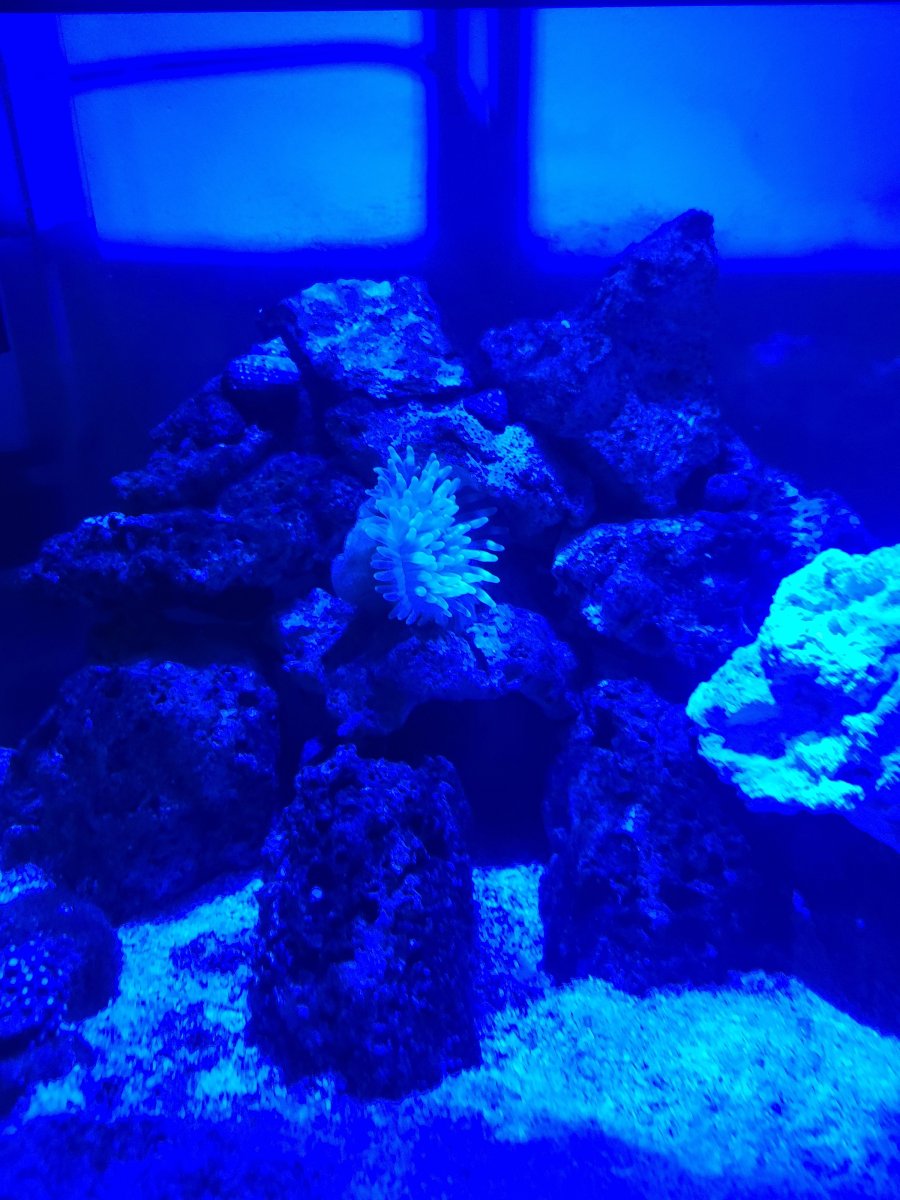 20220801_085757.jpg