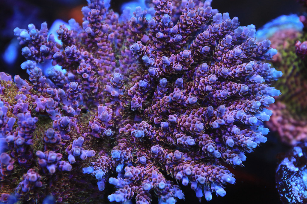49785579492_7b368c6a36_b.jpg