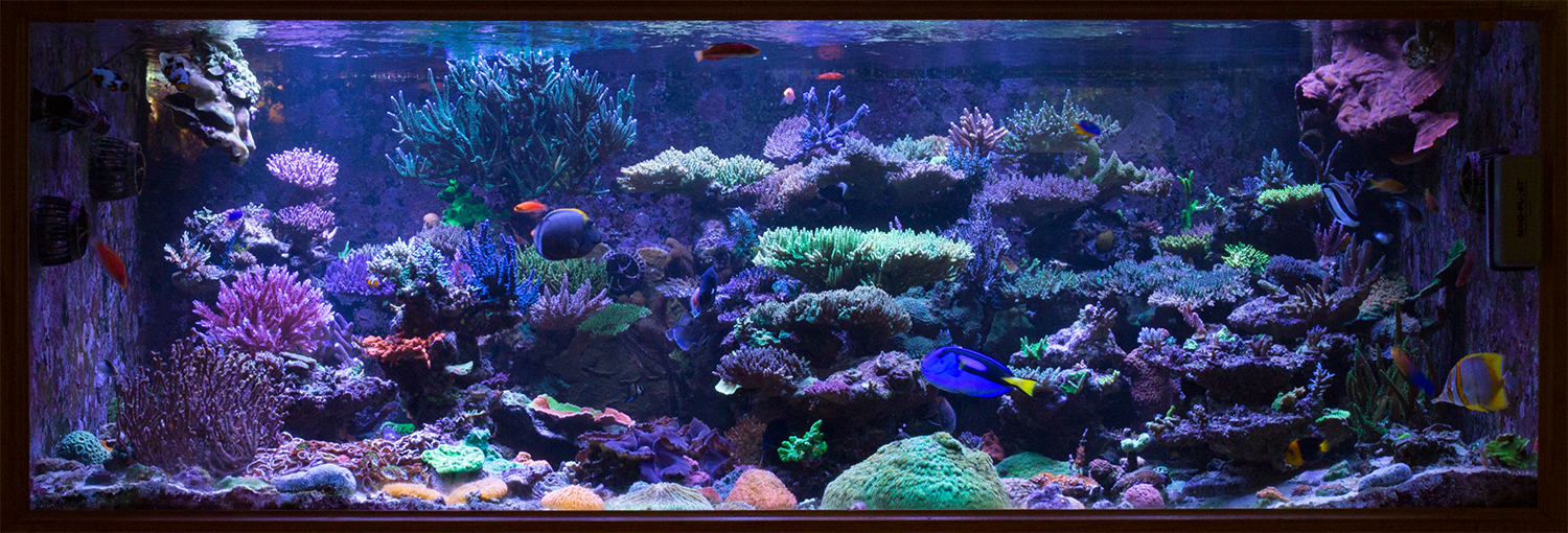 fts-jpg.376802