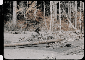 200.gif