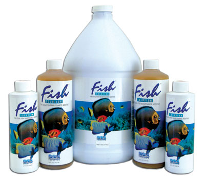 www.ecosystemaquarium.com