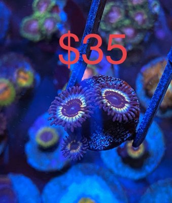 3978B657-742E-4912-B908-55BAFDFCC30C.jpeg