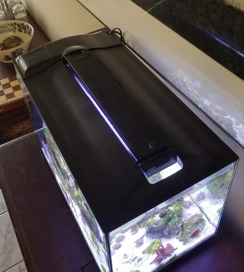 Light on lid.jpg