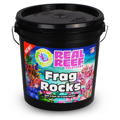 realreefrock.com