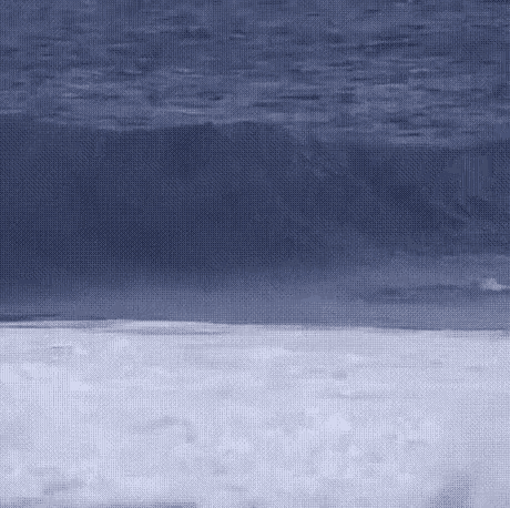 divebomb-thats25points.gif