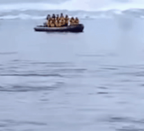 penguin-escaping.gif