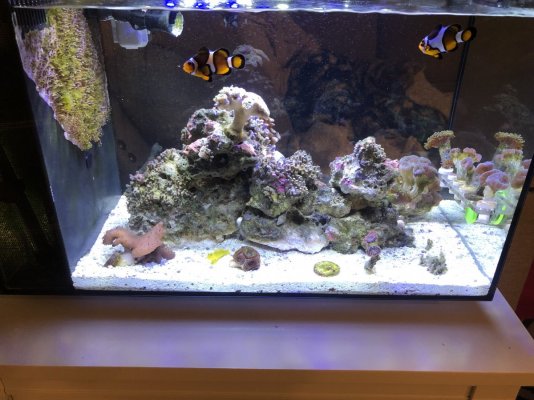 FA9D67BB-5F8B-4D9B-B690-3457FD248BEB.jpeg FA9D67BB-5F8B-4D9B-B690-3457FD248BEB.jpeg