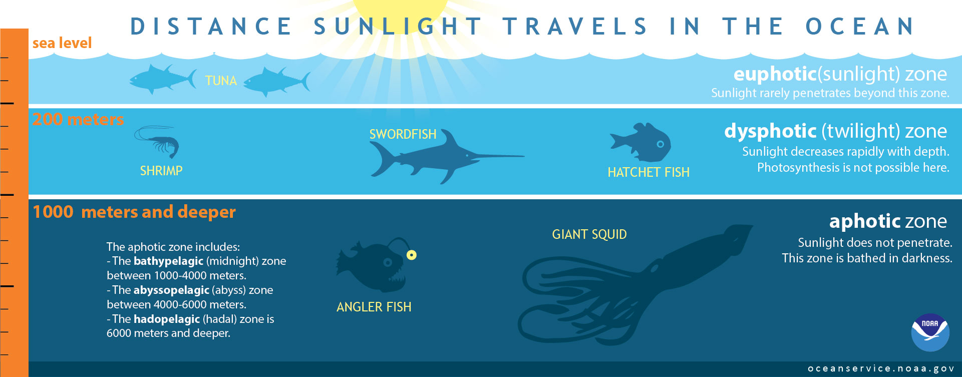 oceanservice.noaa.gov