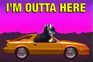 GIF by GIPHY Studios Originals