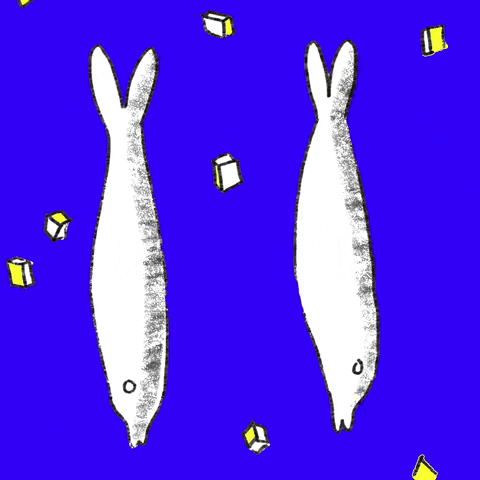giphy.gif