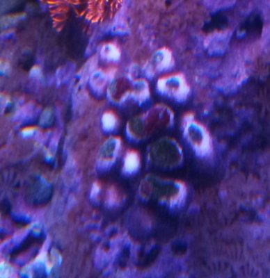 P_20190524_212459_p_1.jpg P_20190524_212459_p_1.jpg