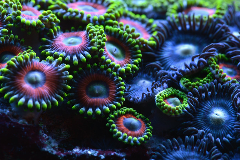 15091475301_c87f0afcfc_c.jpg